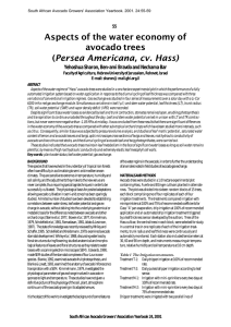 Aspects of the water economy of avocado trees Persea Americana, cv. Hass)