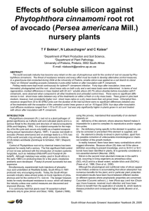 Effects of soluble silicon against Persea americana nursery plants Phytophthora cinnamomi