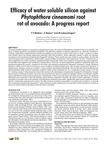 Efficacy of water soluble silicon against Phytophthora cinnamomi T F Bekker