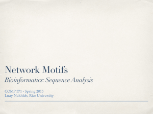 Network Motifs Bioinformatics: Sequence Analysis COMP 571 - Spring 2015