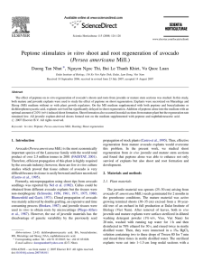 Peptone stimulates in vitro shoot and root regeneration of avocado ,