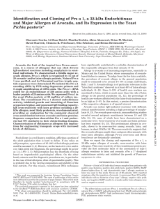 Identification and Cloning of Prs a 1, a 32-kDa Endochitinase