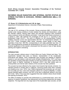 INCOMING SOLAR RADIATION AND INTERNAL WATER STATUS AS PERSEA AMERICANA EDRANOL