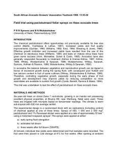 Field trial using paclobutrazol foliar sprays on Hass avocado trees