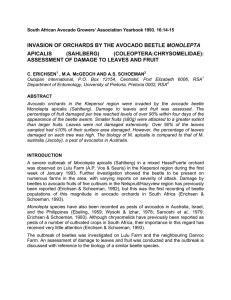 MONOLEPTA APICALIS (SAHLBERG) (COLEOPTERA:CHRYSOMELIDAE): ASSESSMENT OF DAMAGE TO LEAVES AND FRUIT