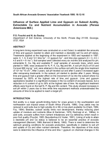 Influence of Surface Applied Lime and Gypsum on Subsoil Acidity, Persea Americana