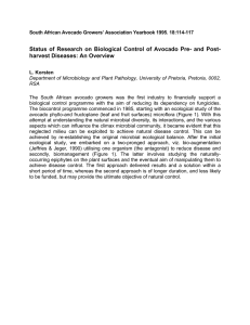 Status of Research on Biological Control of Avocado Pre- and... harvest Diseases: An Overview