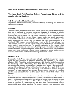 The Hass Small-Fruit Problem: Role of Physiological Stress and its