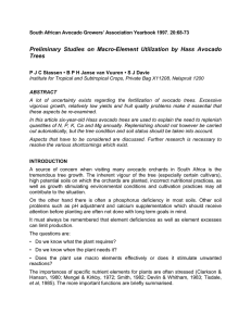 Preliminary Studies on Macro-Element Utilization by Hass Avocado Trees