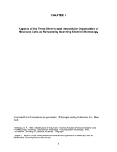 CHAPTER 1 Aspects of the Three-Dimensional Intracellular Organization of