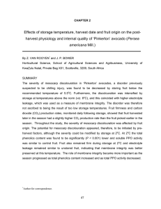 Effects of storage temperature, harvest date and fruit origin on... Persea Mill.)