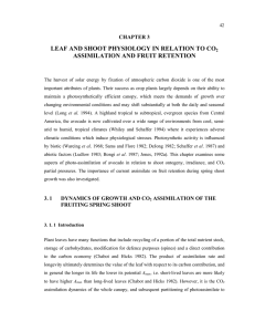 LEAF AND SHOOT PHYSIOLOGY IN RELATION TO CO CHAPTER 3
