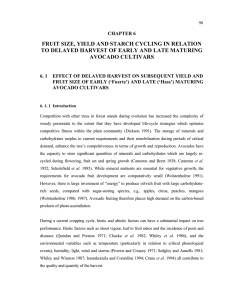 FRUIT SIZE, YIELD AND STARCH CYCLING IN RELATION AVOCADO CULTIVARS