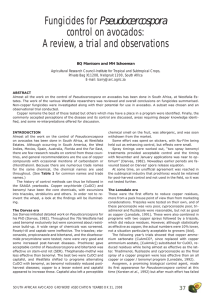 Pseudocercospora control on avocados: A review, a trial and observations