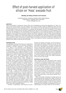 Effect of post-harvest application of silicon on ‘Hass’ avocado fruit