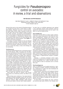 Pseudocercospora control on avocados: A review, a trial and observations