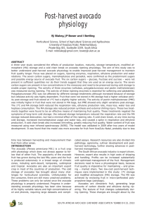 Post-harvest avocado physiology