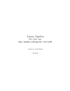 Linear Algebra REU 2004. Info:  Instructor: Laszlo Babai