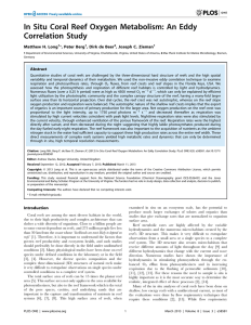 In Situ Coral Reef Oxygen Metabolism: An Eddy Correlation Study *