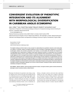 CONVERGENT EVOLUTION OF PHENOTYPIC INTEGRATION AND ITS ALIGNMENT WITH MORPHOLOGICAL DIVERSIFICATION ANOLIS ECOMORPHS