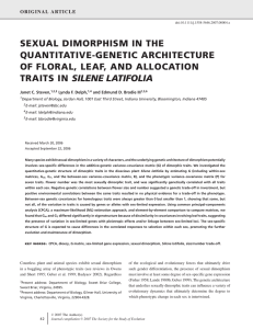 SEXUAL DIMORPHISM IN THE QUANTITATIVE-GENETIC ARCHITECTURE OF FLORAL, LEAF, AND ALLOCATION SILENE LATIFOLIA