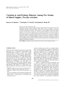 Variation in Anti-Predator Behavior Among Five Strains Bronwyn H. Bleakley,
