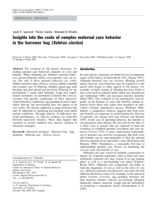 Insights into the costs of complex maternal care behavior Sehirus cinctus)