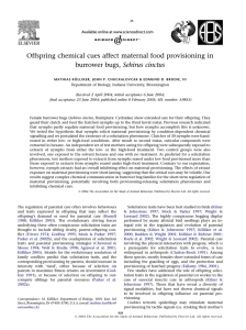 Offspring chemical cues affect maternal food provisioning in