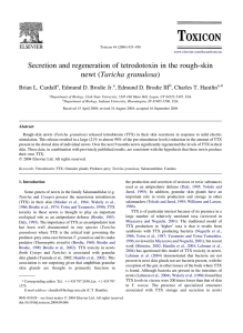 Secretion and regeneration of tetrodotoxin in the rough-skin newt (Taricha granulosa) *
