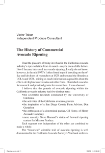 The History of Commercial Avocado Ripening Victor Tokar Independent Produce Consultant