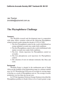 The Phytophthora Challenge Jan Toerien