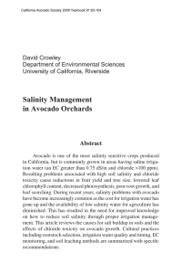 Salinity Management in Avocado Orchards David Crowley Department of Environmental Sciences