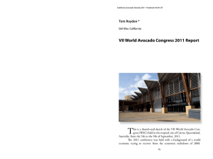 T VII World Avocado Congress 2011 Report Tom Royden *