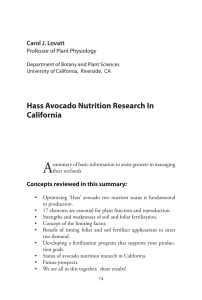 A Hass Avocado Nutrition Research In California Carol J. Lovatt