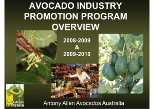 AVOCADO INDUSTRY PROMOTION PROGRAM OVERVIEW Antony Allen Avocados Australia
