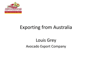 Exporting from Australia Louis Grey Avocado Export Company