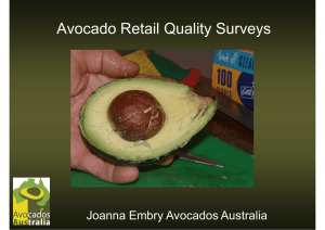 Avocado Retail Quality Surveys Joanna Embry Avocados Australia