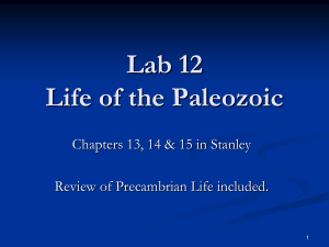 Lab 12 Life of the Paleozoic