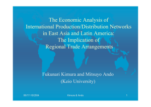 The Economic Analysis of International Production/Distribution Networks