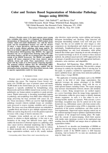 Color and Texture Based Segmentation of Molecular Pathology Images using HSOMs