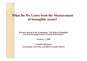 What Do We Learn from the Measurement of Intangible Assets?
