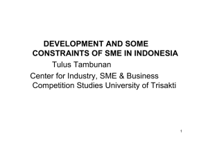 DEVELOPMENT AND SOME CONSTRAINTS OF SME IN INDONESIA Tulus Tambunan