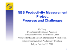 NBS Productivity Measurement Project: Progress and Challenges