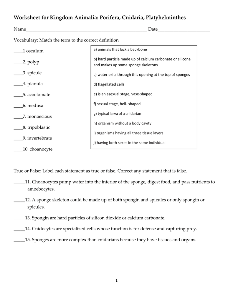 Worksheet for Kingdom Animalia: Porifera, Cnidaria, Platyhelminthes Throughout Sponges A Coloring Worksheet