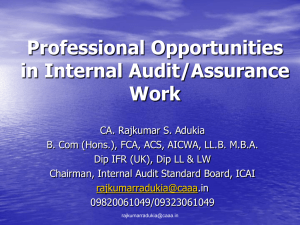 Professional Opportunities in Internal Audit/Assurance Work