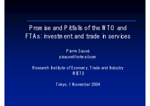 Promise and Pitfalls of the WTO and