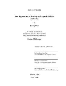 New Approaches to Routing for Large-Scale Data Networks RICE UNIVERSITY by