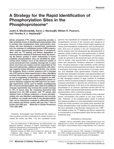 A Strategy for the Rapid Identification of Phosphorylation Sites in the Phosphoproteome*