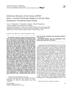 GSTM3 Gene—Inverted Orientation Relative to the Mu Class Glutathione Transferase Gene Cluster