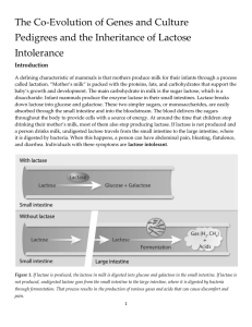The Co-Evolution of Genes and Culture Intolerance Introduction